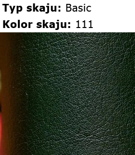 111-skaj