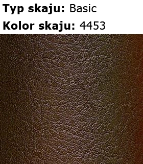 4453-skaj