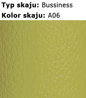 a06-skaje