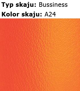 a24-skaje