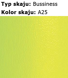 a25-skaje