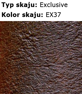 ex37-skaje