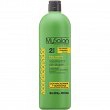 Odżywka regenerująca MySalon Professional Reparador de Argan do włosów 1000ml MySalon Professional 8437014547351